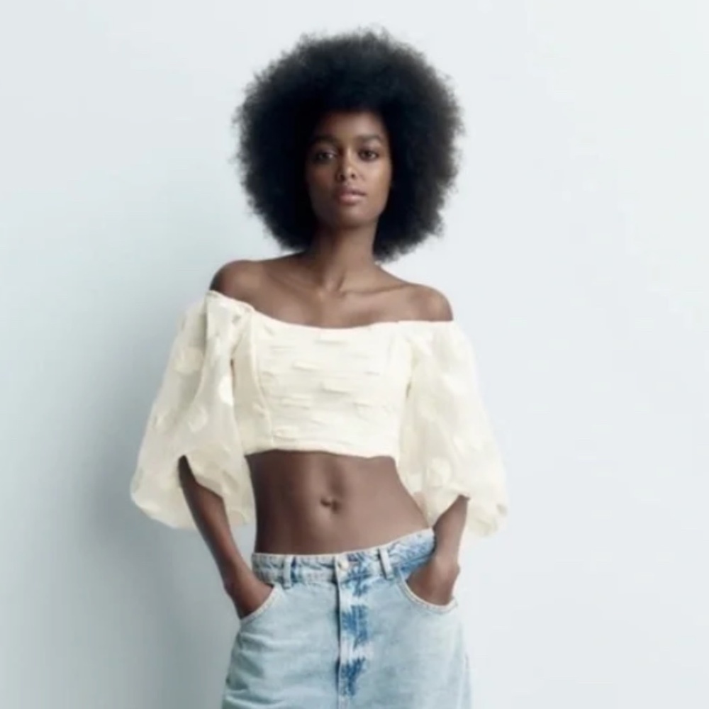 NWT Zara Balloon Sheer Sleeve Crop Top Bloggers Favorite size Small